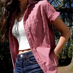 Calvin Klein Casual Short Sleeve Button Down